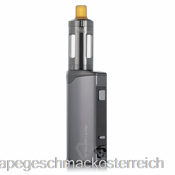 Innokin Endura T22 Pro Kit Steel Grey Vape Geschmack